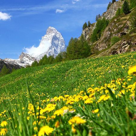 Apartment Monazit By Interhome Zermatt Ngoại thất bức ảnh
