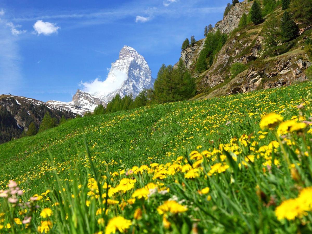 Apartment Monazit By Interhome Zermatt Ngoại thất bức ảnh